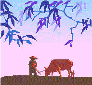 Chinese Farmer and Cow