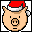 Pig Year